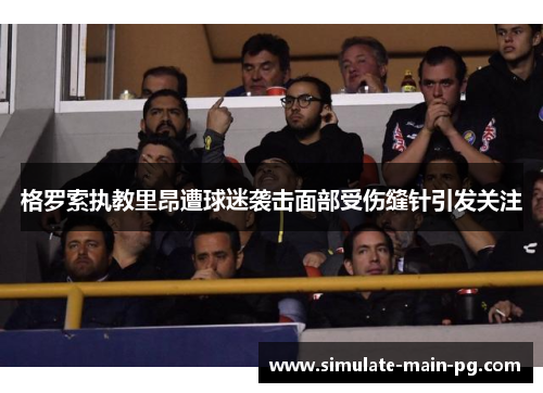 格罗索执教里昂遭球迷袭击面部受伤缝针引发关注